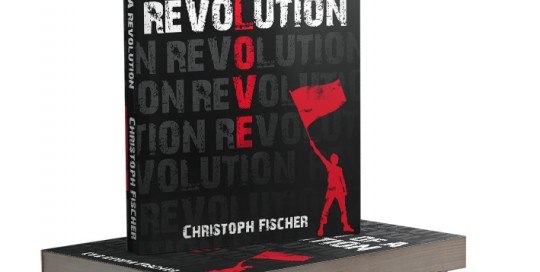 n search of a revolution book cover